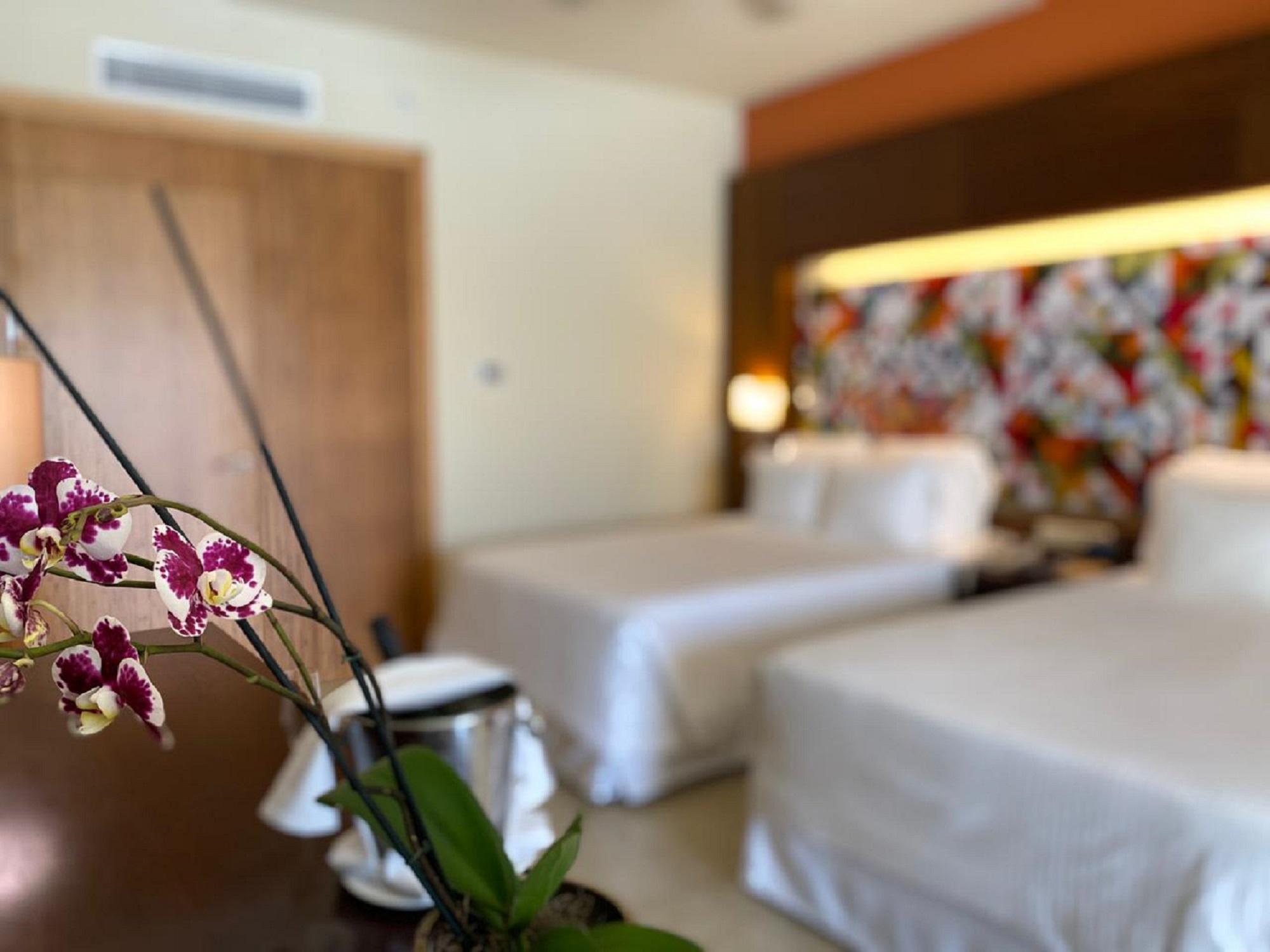 ブレスレス プンタ カーナ リゾート ＆ スパ 大人専用 プンタ・カナ エクステリア 写真 A room at the hotel